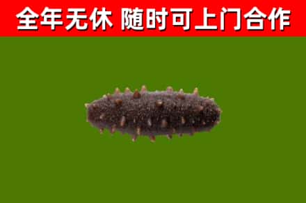 霞浦烟酒回收干海参.jpg